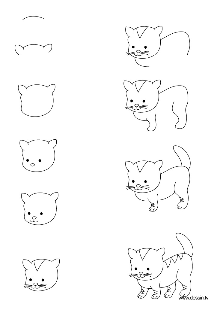 Drawing kitten