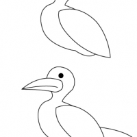 Drawing seagull
